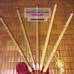 Sáo đô tone C5