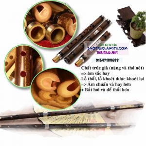 Tiêu bát khổng trúc tím 3 khúc tuyển chọn và chỉnh âm