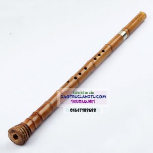 Tiêu trúc Việt có gốc rễ và khớp nối