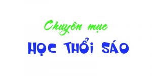 Cách thổi sáo, tiêu: hướng dẫn học thổi các loại sáo